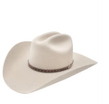 Stetson Medalist 5X Western Hat in Silver Gray featuring a stylish design and classic wide brim.