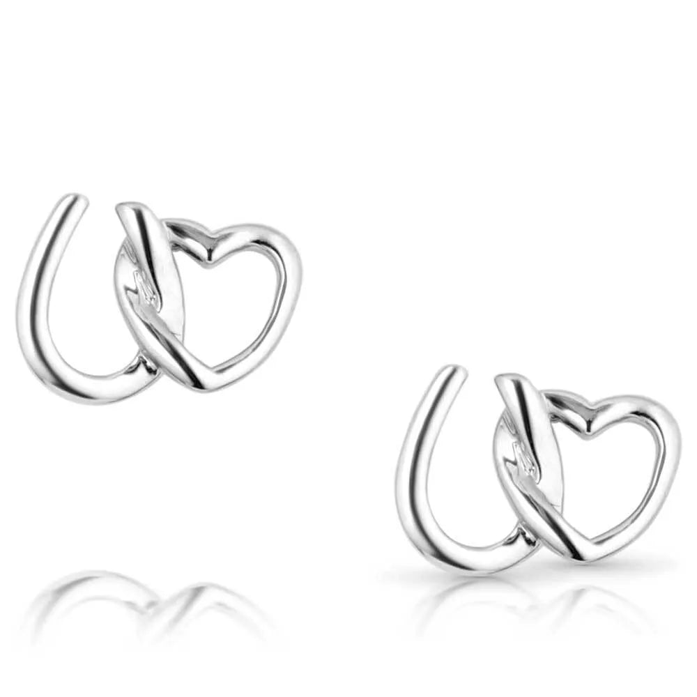 Luck & Love Earrings ER5802