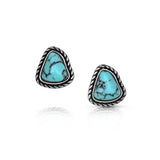Montana Silversmiths Dakota Skies Post Earrings  ER6610
